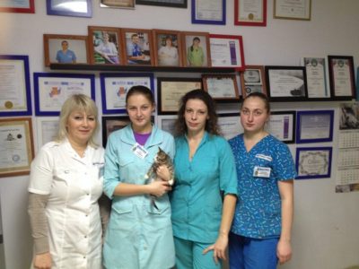 Поездка в Наро-Фоминск