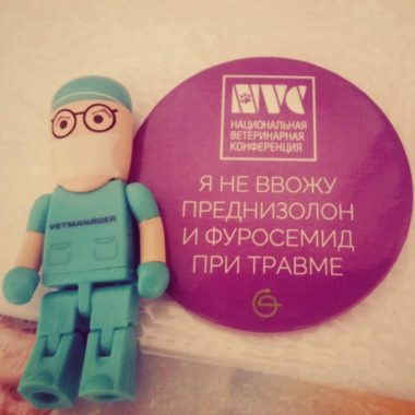 Команда Ветменеджер на NVC-2015: новые знакомства и яркие впечатления!